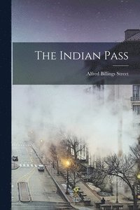 bokomslag The Indian Pass
