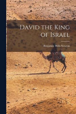 David the King of Israel 1