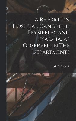 bokomslag Report on Hospital Gangrene, Erysipelas and Pyaemia, As Odserved in The Departments