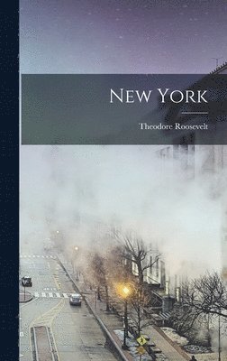 Theodore Roosevelt - New York, Inbunden