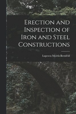 bokomslag Erection and Inspection of Iron and Steel Constructions