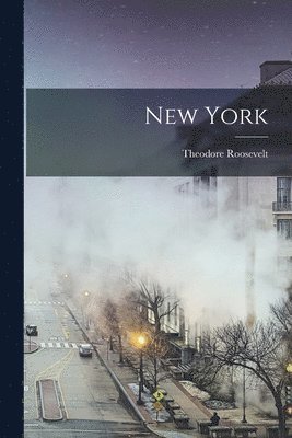 Theodore Roosevelt - New York, Häftad