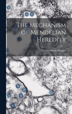Mechanism of Mendelian Heredity