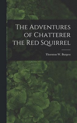 bokomslag Adventures of Chatterer the Red Squirrel