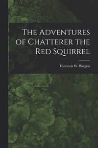 bokomslag Adventures of Chatterer the Red Squirrel