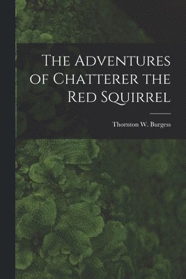 bokomslag Adventures of Chatterer the Red Squirrel