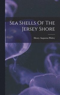 bokomslag Sea Shells Of The Jersey Shore
