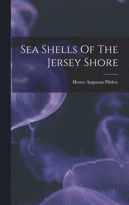 Sea Shells Of The Jersey Shore 1