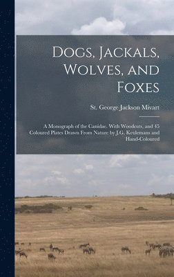 bokomslag Dogs, Jackals, Wolves, and Foxes