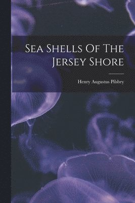 Sea Shells Of The Jersey Shore 1