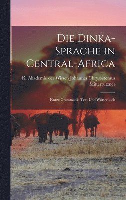 bokomslag Die Dinka-sprache in Central-Africa