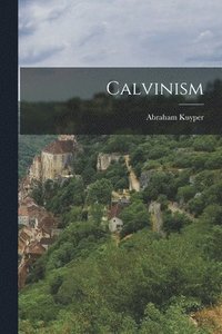 bokomslag Calvinism