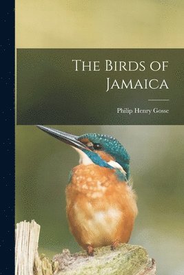 bokomslag The Birds of Jamaica