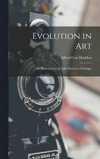 bokomslag Evolution in Art