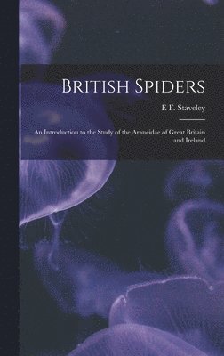 bokomslag British Spiders