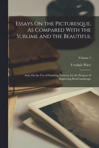 bokomslag Essays On the Picturesque, As Compared With the Sublime and the Beautiful: And, On the Use of Studying Pictures, for the Purpose of Improving Real Lan