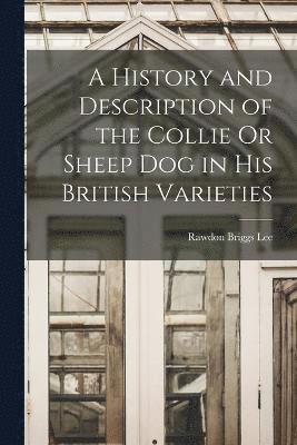 bokomslag A History and Description of the Collie Or Sheep Dog in His British Varieties