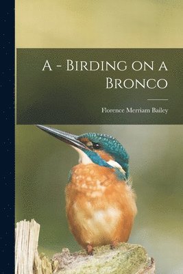 bokomslag A - Birding on a Bronco