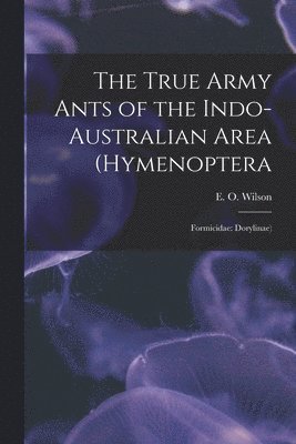True Army Ants of the Indo-Australian Area (Hymenoptera