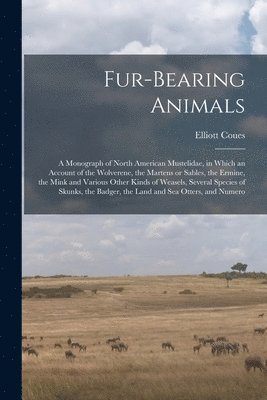 Fur-bearing Animals 1