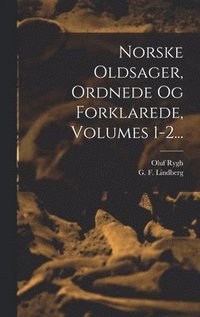 bokomslag Norske Oldsager, Ordnede Og Forklarede, Volumes 1-2...