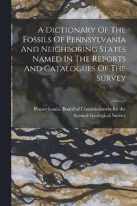 bokomslag Dictionary Of The Fossils Of Pennsylvania And Neighboring States Named In The Reports And Catalogues Of The Survey