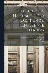 bokomslag Illustriertes Handbuch der Obstkunde, Fnfzehnte Lieferung