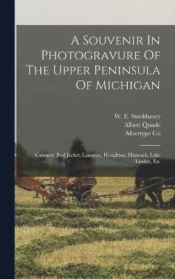 bokomslag A Souvenir In Photogravure Of The Upper Peninsula Of Michigan