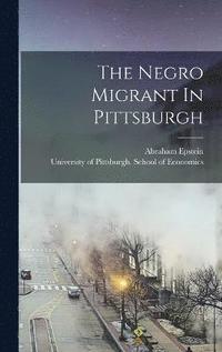 bokomslag The Negro Migrant In Pittsburgh