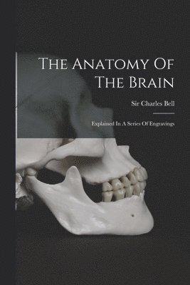 Charles Bell - Anatomy Of The Brain, Häftad