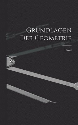 bokomslag Grundlagen der Geometrie