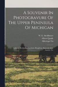 bokomslag A Souvenir In Photogravure Of The Upper Peninsula Of Michigan