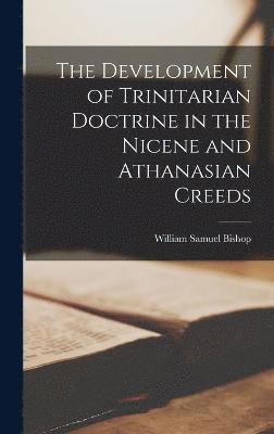 bokomslag The Development of Trinitarian Doctrine in the Nicene and Athanasian Creeds