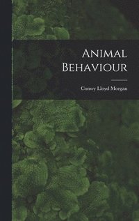 bokomslag Animal Behaviour