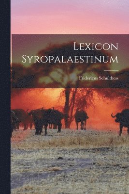 bokomslag Lexicon Syropalaestinum