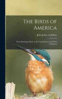 bokomslag The Birds of America