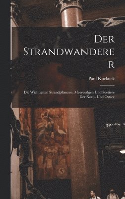 bokomslag Der Strandwanderer