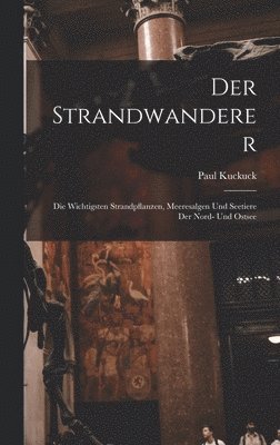 Der Strandwanderer