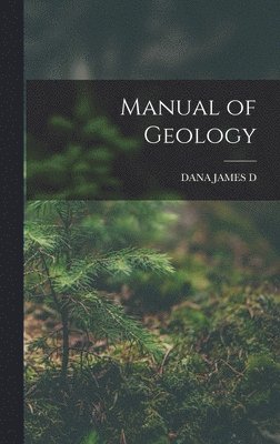 bokomslag Manual of Geology