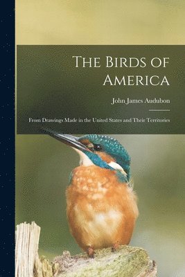 bokomslag Birds of America