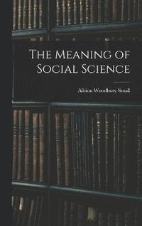 bokomslag The Meaning of Social Science