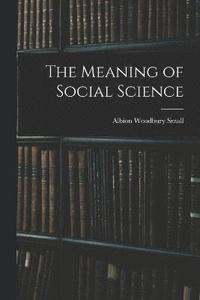 bokomslag The Meaning of Social Science
