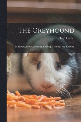 Hugh Dalziel - Greyhound; its History, Points, Breeding, Rearing, Training, and Running, Häftad