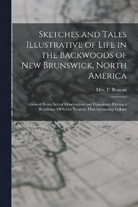 bokomslag Sketches and Tales Illustrative of Life in the Backwoods of New Brunswick, North America