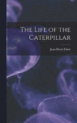 The Life of the Caterpillar 1