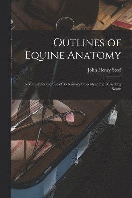 bokomslag Outlines of Equine Anatomy