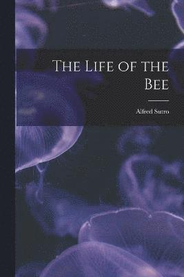 bokomslag The Life of the Bee