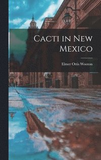 bokomslag Cacti in New Mexico