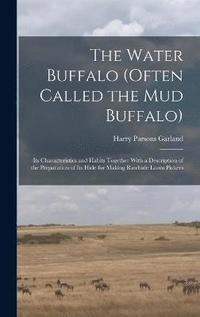 bokomslag The Water Buffalo (Often Called the Mud Buffalo)