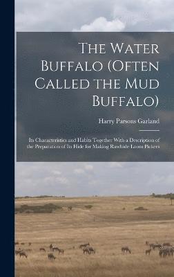 The Water Buffalo (Often Called the Mud Buffalo) 1